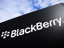 blackberry