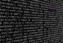 botnet
