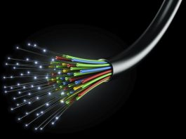 fiber